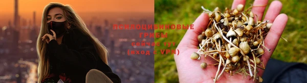 соль ск Козловка