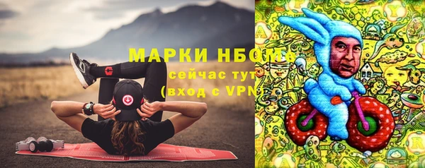 соль ск Козловка