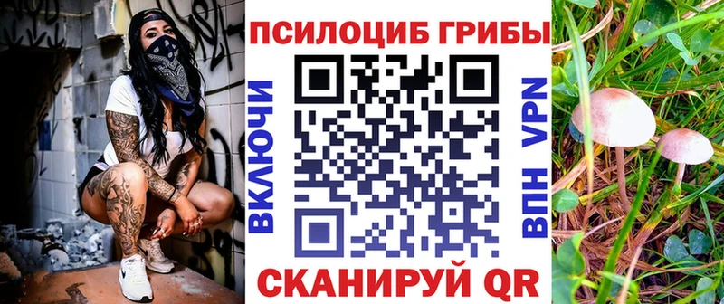 Купить  Инта  Галлюциногенные грибы Cubensis 